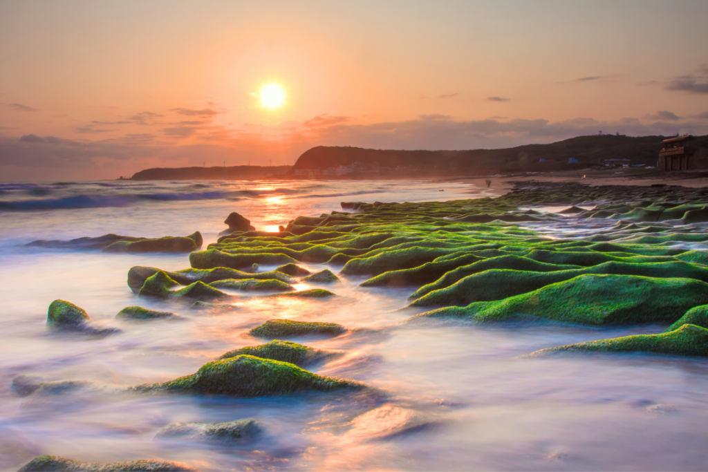 ที่เที่ยวไต้หวันธรรมชาติ แนวปะการังเหล่าเหมย (Laomei Green Reef)_01