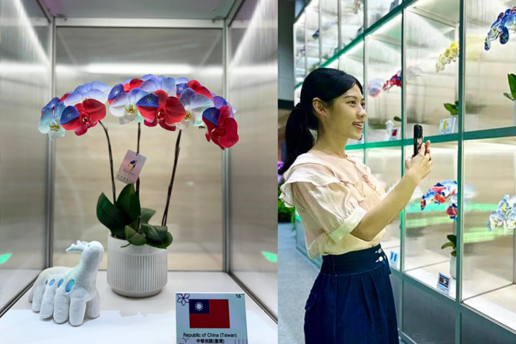 สุดประทับใจ! ผนังดอกกล้วยไม้ "เฟิงเหราฟอร์โมซา" ที่สนามบินเถาหยวน