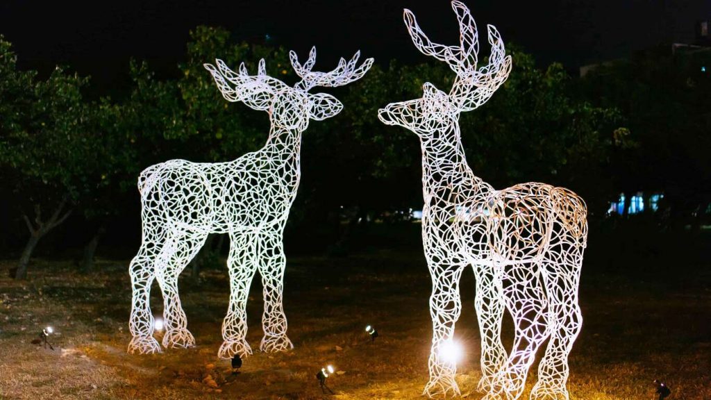 นัดพบกวางน้อย