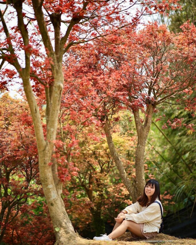 Aowanda