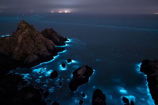 ทะเลเรืองแสงสีน้ำเงิน