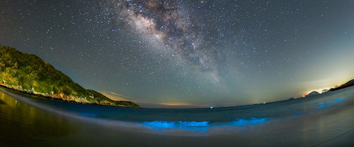 ทะเลเรืองแสงหมาจู่