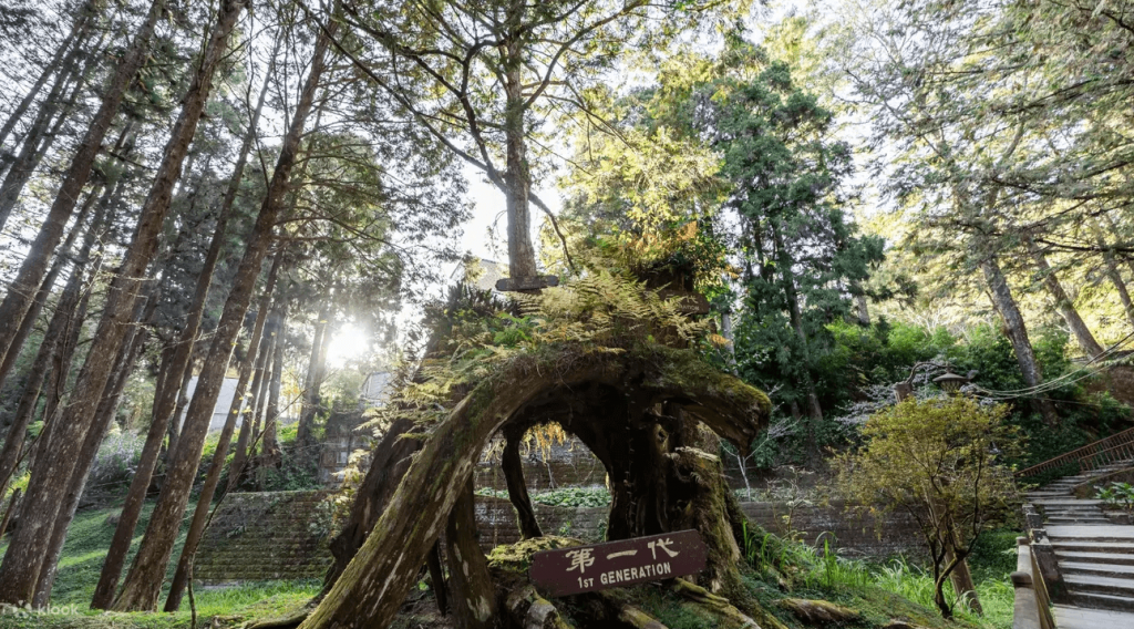 เขตนันทนาการป่าไม้แห่งชาติอาหลี่ซาน