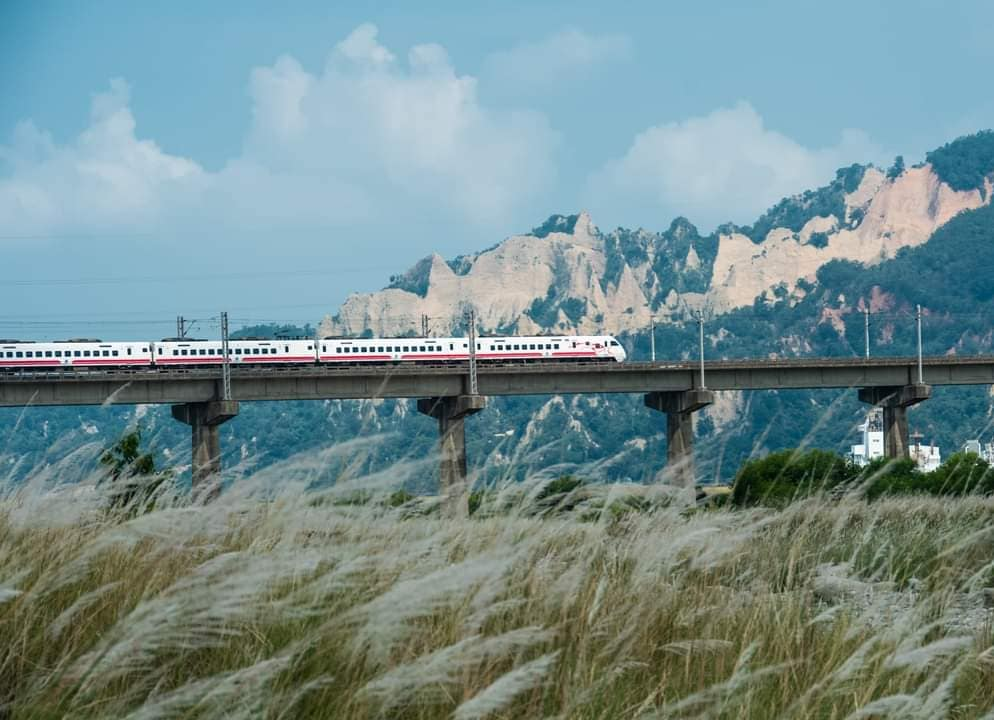 ดอกหญ้าสีเงิน