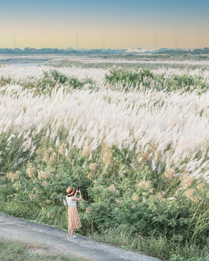  เขื่อนต้าเน่ยเฉียว