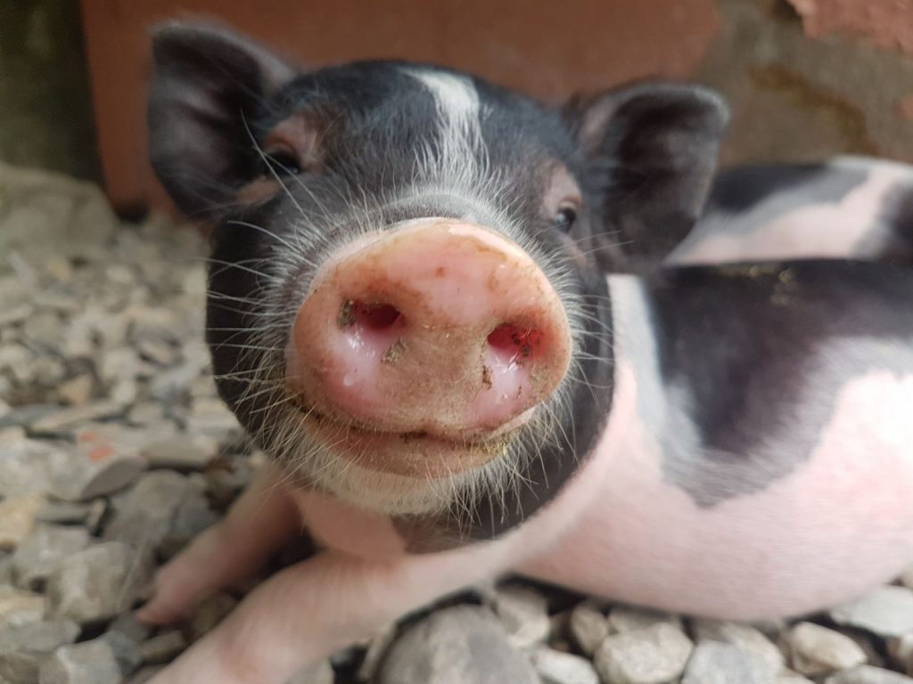 เที่ยวอี๋หลาน