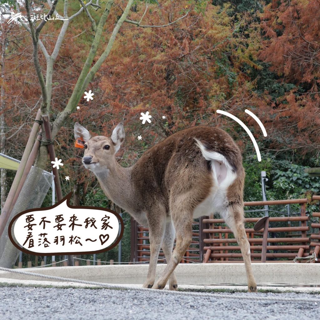 เที่ยวอี๋หลาน