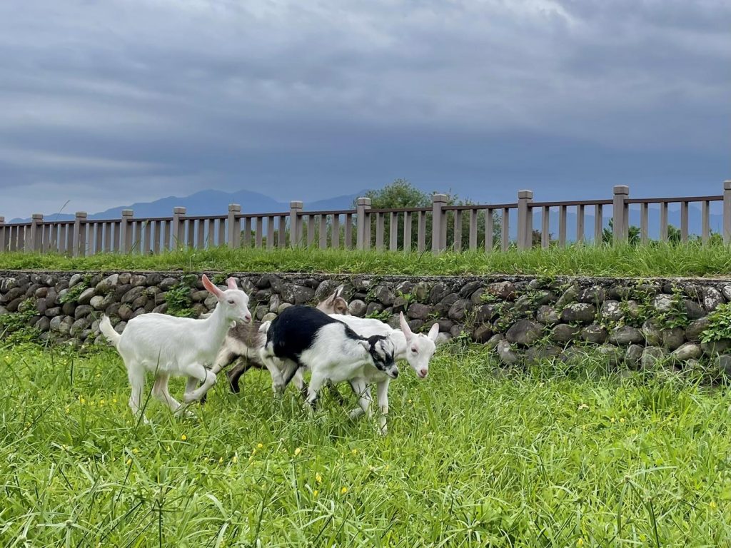 เที่ยวอี๋หลาน