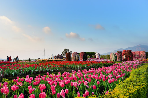 สวนดอกไม้จงเซ่อ