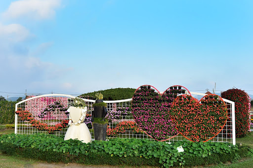 สวนดอกไม้จงเซ่อ