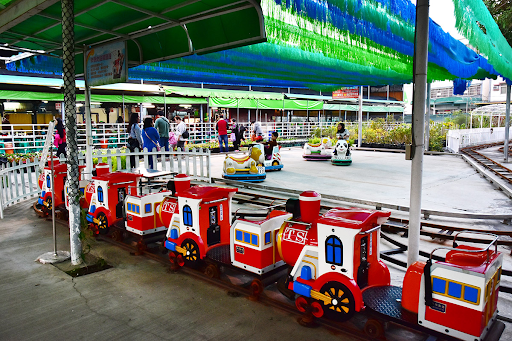 สวนดอกไม้จงเซ่อ