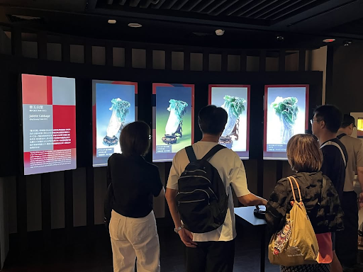 National Palace Museum